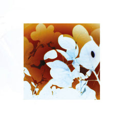 James Murray // Soundflowers CDr