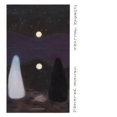 jordan ireland // spirit walking LP