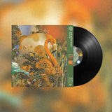 John Beltran // Serendipia 2x12"