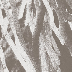 JWPATON // Structures CD