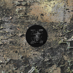 Overland // King Tide 12"