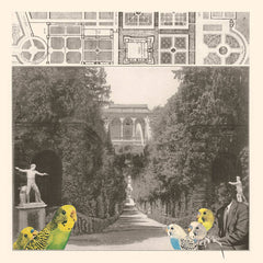 The Dead Mauriacs // Le Parc, rapport d'observations CD