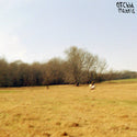 orchid mantis // Light As Leaving TAPE