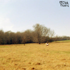 orchid mantis // Light As Leaving TAPE