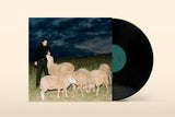 Richard Lamb // Salt Lick (Incl. Sotofett remixes) LP