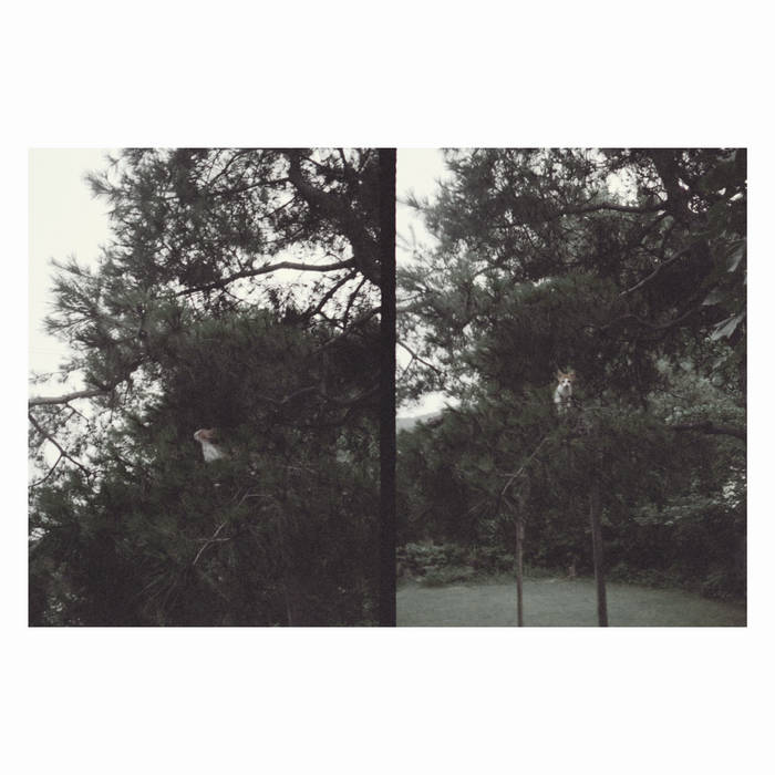 okkyung lee // just like any other day (어느날): background music for your mundane activities LP