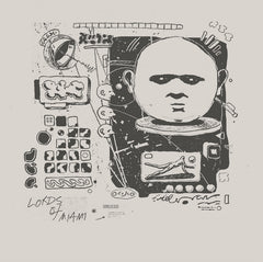 Various Artists (Domesticated) // Lords Of Miami 12"