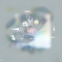 Conna Haraway // Lusidiq TAPE