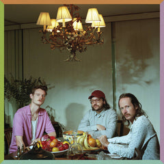 Wilder Maker // Male Models LP