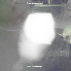 Elina Bolshenkova // Flood Management CD