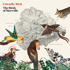 Friendly Rich // The Birds of Marsville LP