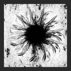 Honzo // Melancholia (incl. Shadows Remix) 12"