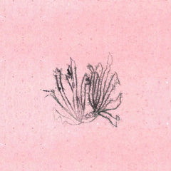 Meilt // Sords CD