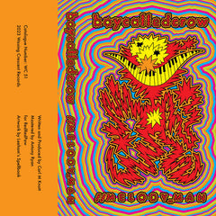 boycalledcrow // //M E L O D Y_M A N TAPE