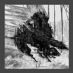 Diasiva // Microplastic 12"