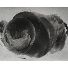Timothy McCormack // mine but for its sublimation CD