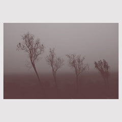 Hand To Earth // Mokuy CD