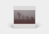 Hand To Earth // Mokuy CD