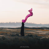 Jonny Nash & Ana Stamp // There Up, Behind The Moon LP