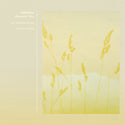 Adhémar // Mountain View 12inch