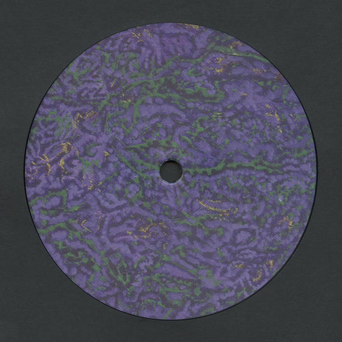 Atrice // Multiplex 12"