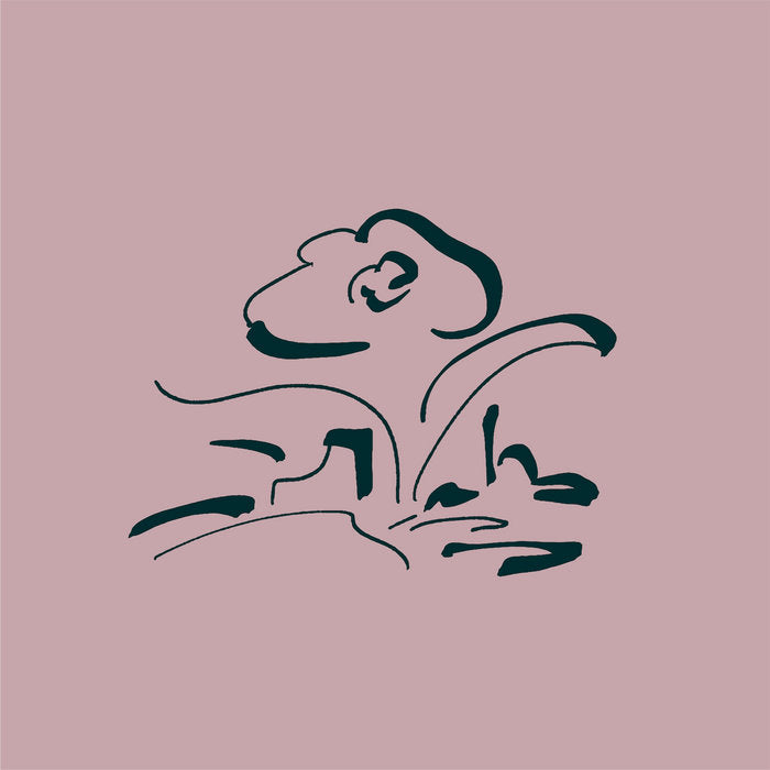 Lullatone // Music for My Friend's Flower Shop LP