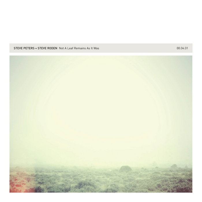 Steve Peters & Steve Roden // Not A Leaf Remains As It Was CD
