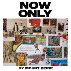 Mount Eerie // Now Only LP