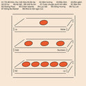 Le Motel // Odd Numbers / Số Lẻ LP