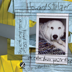 Howard Stelzer // oh calm down you're fine TAPE