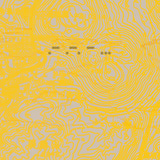 Thimo Konings // How Does One 12inch