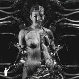 Nictofilia // Oxido Ferroso TAPE