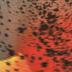 Sciahri // Pareidolia III 12inch