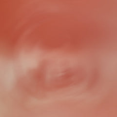 Sciahri // Pareidolia I 12"