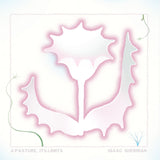 Isaac Sherman // A Pasture, Its Limits TAPE