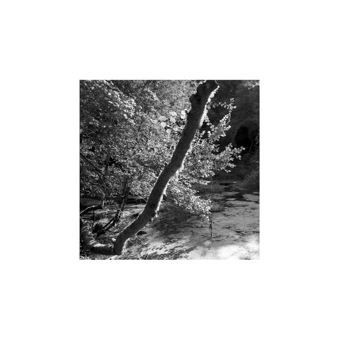 Maurizio Abate & Luca Venitucci // Peace and Pleasure LP