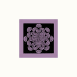 Pygmy Unit // Signals From Earth LP