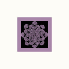 Pygmy Unit // Signals From Earth LP