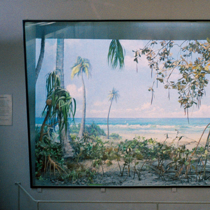 Nikolaienko // Nostalgia Por Mesozóica LP