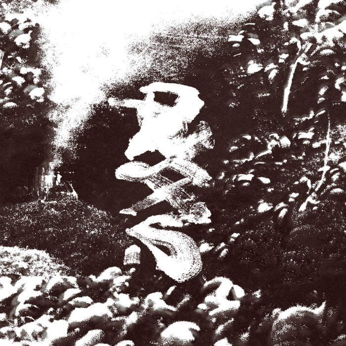 Bearer // Praxis 2xLP