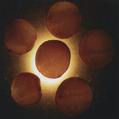 Celer // Radish CD