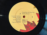 Thandi Ntuli with Carlos Niño // Rainbow Revisited LP / CD