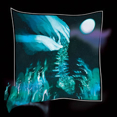 Zach Rowden // When the Gloss is Removed LP
