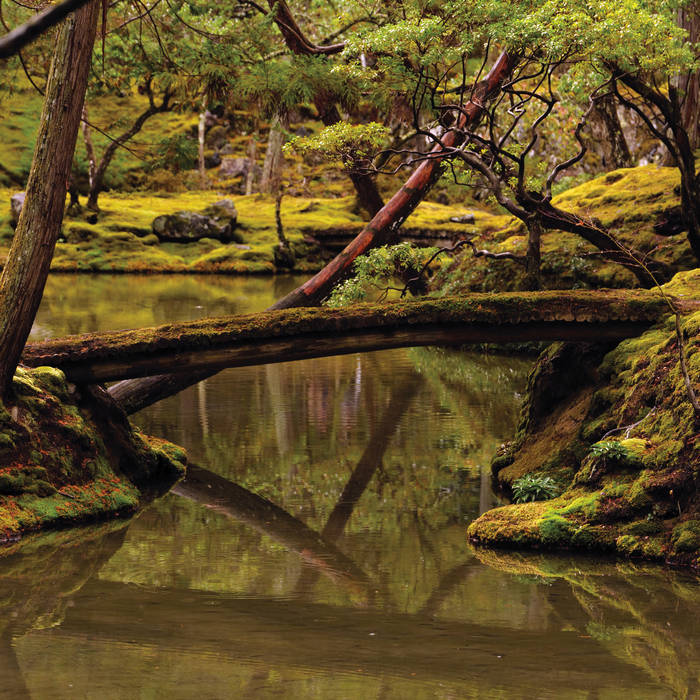 Rebecca Foon & Aliayta Foon-Dancoes // Reverie LP