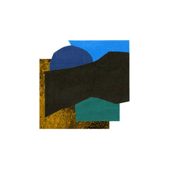 Viul // Secret Recess LP