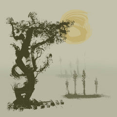 Shackleton // The Scandal of Time 2xLP
