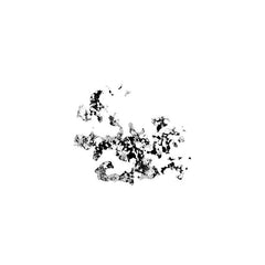 Șerb // Transient Recs 2 12inch