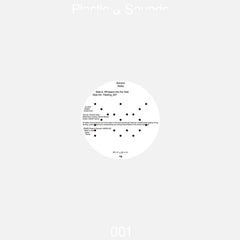 Shinichi Atobe // Whispers Into The Void / Fleeting_637 12inch