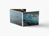 Marc Namblard // Arctic Summer CD