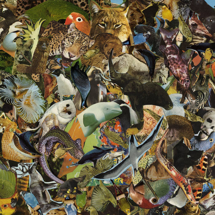 Antti Tolvi // Taikuri Tali LP